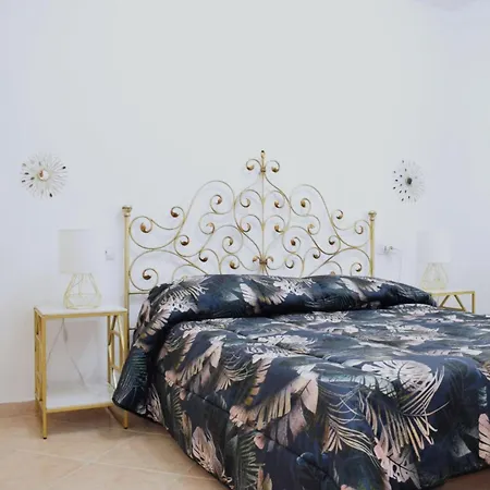 Ivy's Nest Αλγκέρο